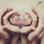 semya-zhivoi-organizm